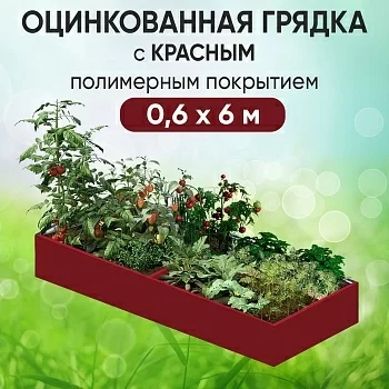 Грядка красная (0,6 х 6)
