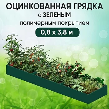 Грядка зеленая (0,8 х 3,8)